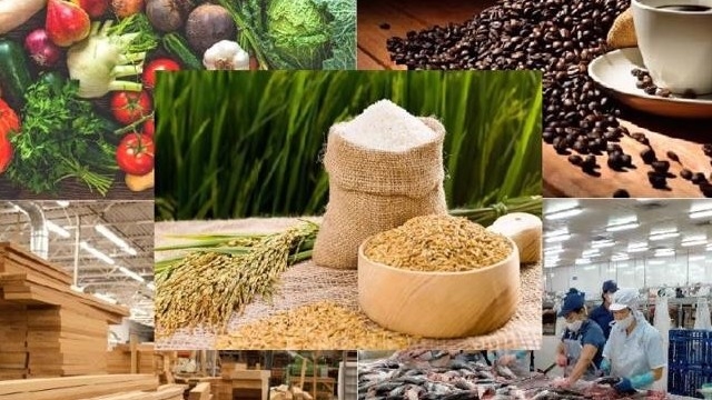 3 kịch bản dự báo cho ngành nông, lâm, thủy sản Việt Nam trong năm 2025