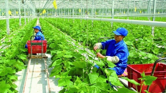 ADB mở rộng hỗ trợ an ninh lương thực châu Á - Thái Bình Dương lên 40 tỷ USD