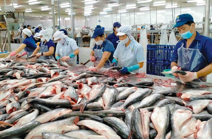 Doanh nghiệp nông nghiệp bật sáng giữa bức tranh phân hóa lợi nhuận quý I/2025 Doanh nghiệp nông nghiệp bật sáng giữa bức tranh phân hóa lợi nhuận quý I