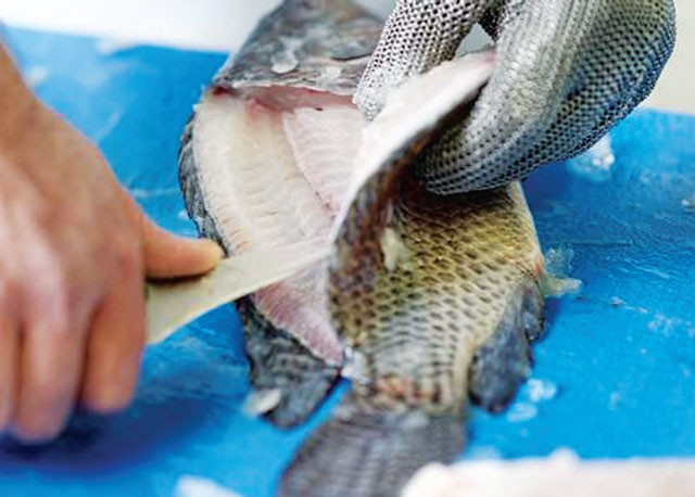 Xuất khẩu thủy sản tận dụng "thời gian vàng giãn thuế" phục hồi mạnh mẽ