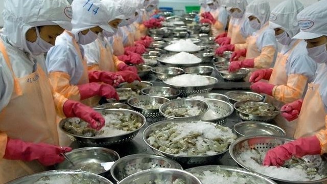 Xuất khẩu thủy sản tận dụng "thời gian vàng giãn thuế" phục hồi mạnh mẽ