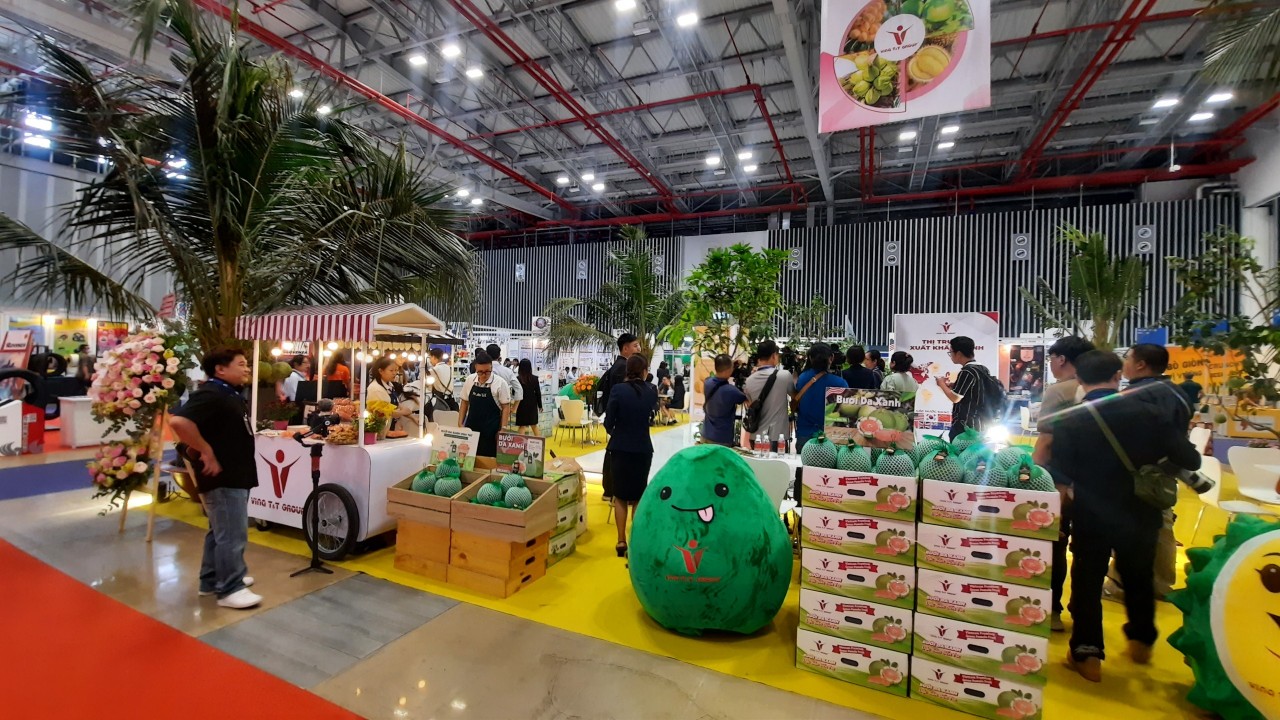 Doanh nghiệp Việt tính lại bài toán xuất khẩu vào Malaysia trước tiêu chuẩn xanh Doanh nghiệp Việt tính lại bài toán xuất khẩu vào Malaysia trước tiêu chuẩn xanh