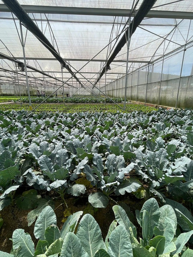 Kinh tế tuần hoàn: Bệ phóng cho sản xuất xanh tại Việt Nam trong cuộc đua toàn cầu