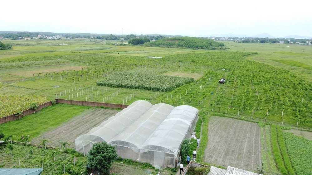 Quảng Ninh: Phát huy hiệu quả mô hình kinh tế Hợp tác xã