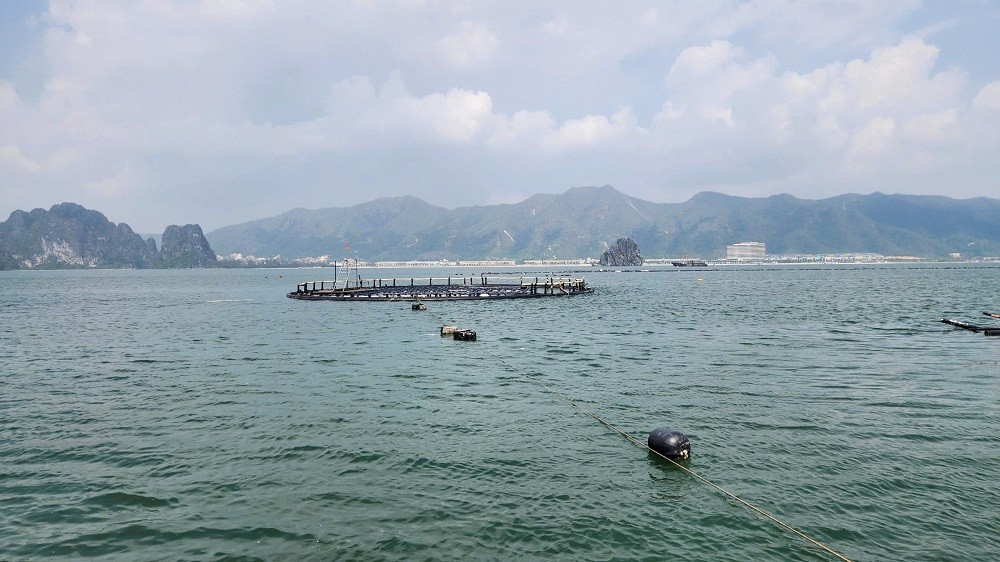 Quảng Ninh: Phát huy hiệu quả mô hình kinh tế Hợp tác xã