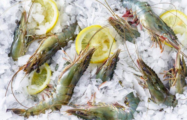 Thuỷ sản Minh Phú báo lãi trở lại nhờ tối ưu chi phí và doanh thu tài chính tăng mạnh