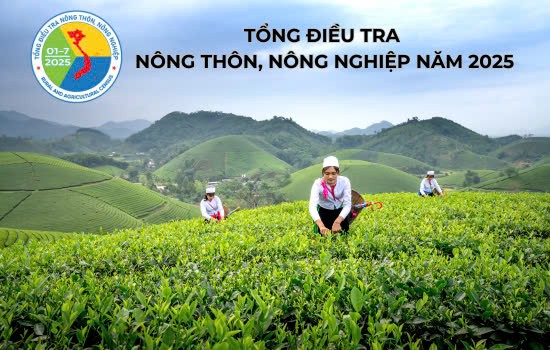 Tổng điều tra nông thôn, nông nghiệp năm 2025 trong 30 ngày