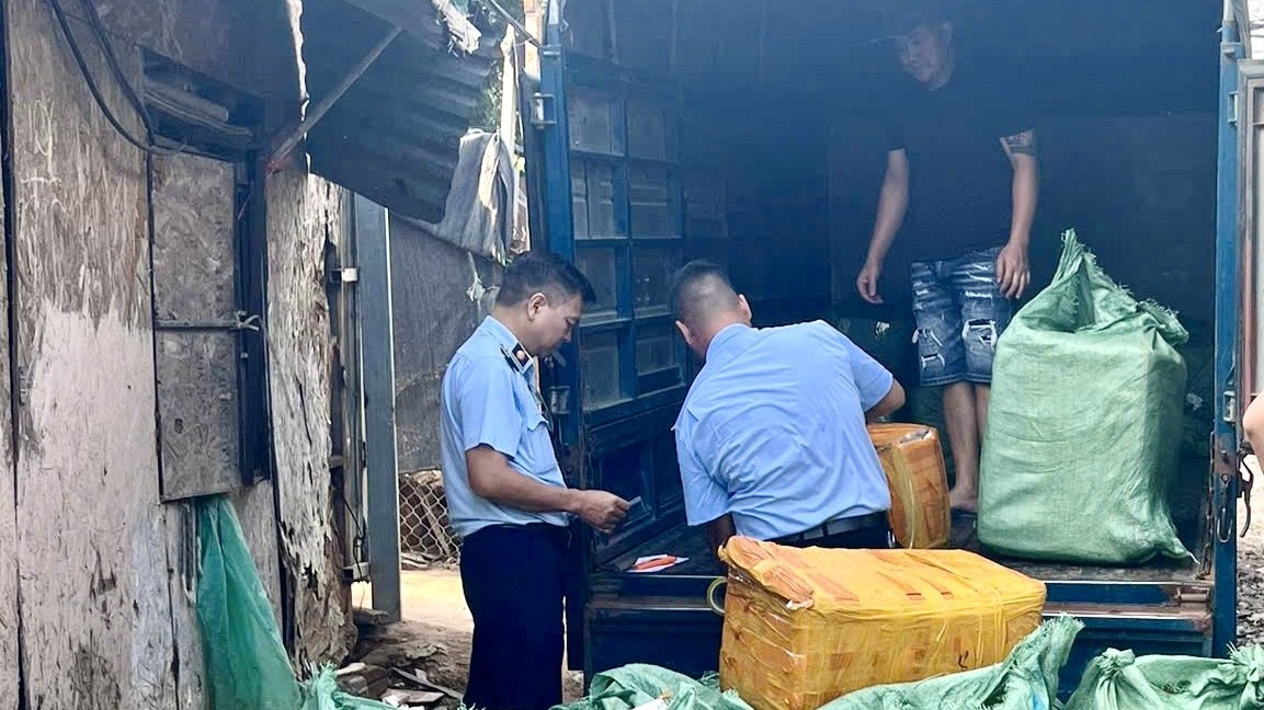 Hà Nội: Thu giữ 800 kg trứng gà non, tràng gà để điều tra xử lý