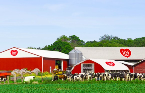 Sữa Quốc tế Lof mở rộng hoạt động thông qua việc mua lại 1 công ty chăn nuôi