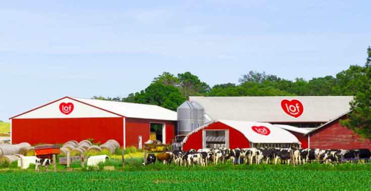 Sữa Quốc tế Lof mở rộng hoạt động thông qua việc mua lại 1 công ty chăn nuôi