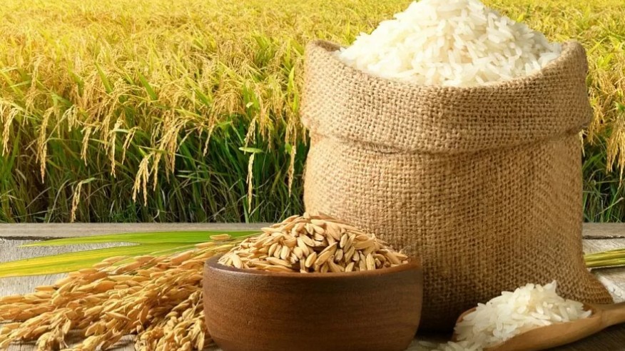 Ngày 17/5: Thị trường lúa gạo trầm lắng do nhu cầu yếu và nguồn cung dồi dào