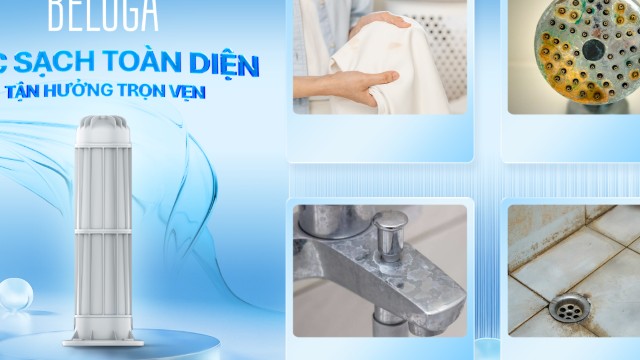 Lọc đầu nguồn Beluga - Lớp bảo vệ đầu tiên cho tổ ấm gia đình