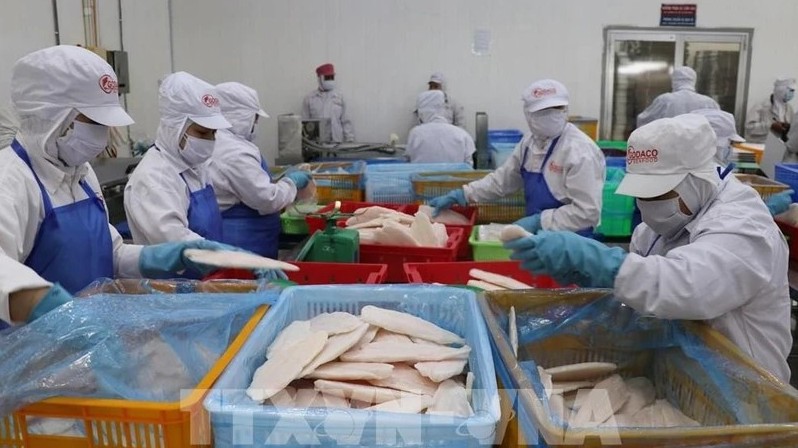 Vietnam’s fishery sector diversifies export markets and products amid global trade challenges