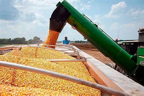 Giá nông sản đồng loạt tăng, thị trường kim loại phân hóa