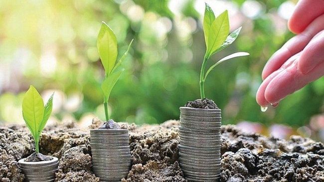 Tín dụng xanh tăng 21%/năm nhưng nhiều ngân hàng vẫn đứng ngoài cuộc