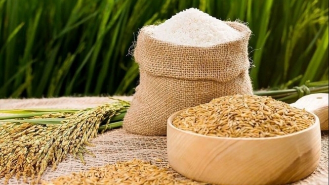 Ngày 22/5: Giá gạo trong nước tiếp tục đi ngang