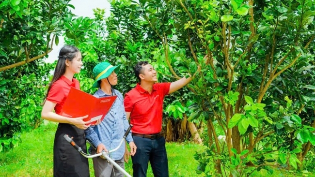 Agribank khẳng định rõ vai trò chủ lực trong triển khai tín dụng xanh