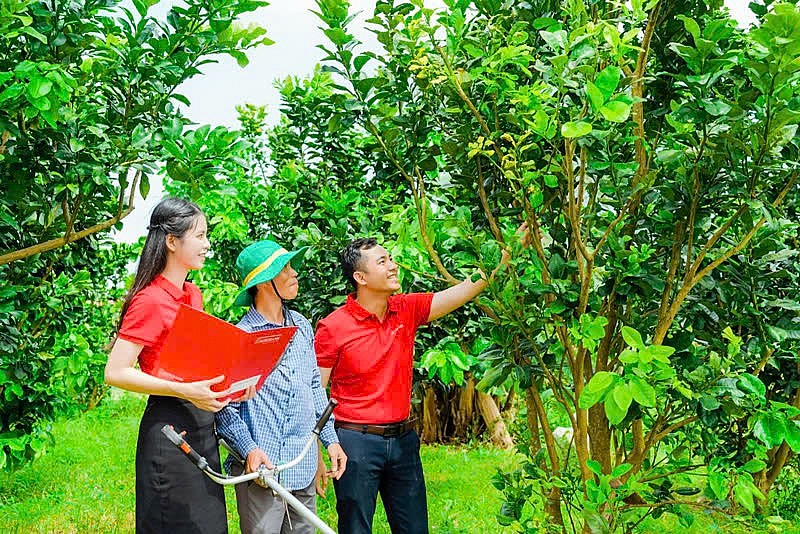 Agribank khẳng định rõ vai trò chủ lực trong triển khai tín dụng xanh