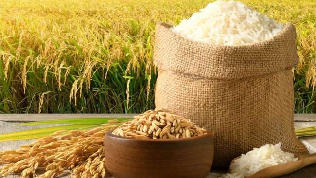 Ngày 26/5: Giá lúa gạo tại Đồng bằng sông Cửu Long bình ổn sáng đầu tuần