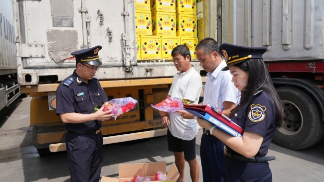 Hải quan triệt phá liên tiếp 3 vụ vi phạm xuất xứ, ghi nhãn hàng hoá