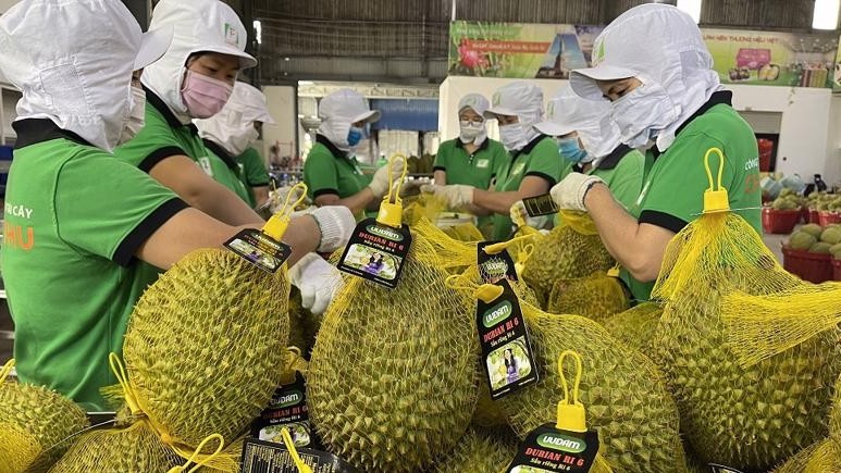 Hải quan ưu tiên xuất khẩu nông lâm thuỷ sản, đặc biệt sầu riêng