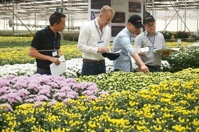 Lâm Đồng: Định hướng phát triển kinh tế xanh, tuần hoàn là trọng tâm