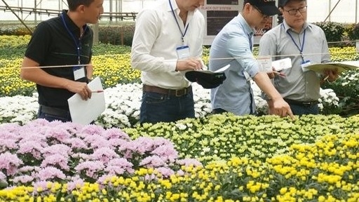 Lâm Đồng: Định hướng phát triển kinh tế xanh, tuần hoàn là trọng tâm