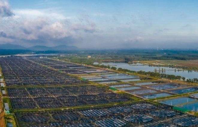 Vua tôm Minh Phú đặt mục tiêu lãi gần 1.000 tỷ đồng trong năm 2025