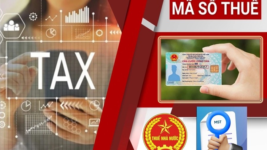 Sử dụng số định danh cá nhân thay cho mã số thuế từ 1/7/2025: Lưu ý với người nộp thuế