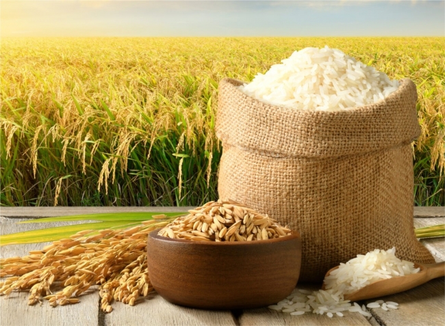 Ngày 5/6: Giá lúa gạo tại Đồng bằng sông Cửu Long biến động trái chiều