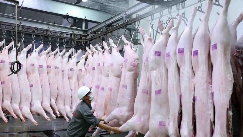 Bộ Nông nghiệp và Môi trường yêu cầu chấn chỉnh thị trường thịt lợn