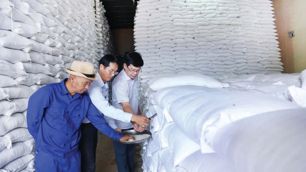 Chi cục Dự trữ Nhà nước khu vực II: Mục tiêu hoàn thành trước hạn kế hoạch nhập gạo dự trữ quốc gia