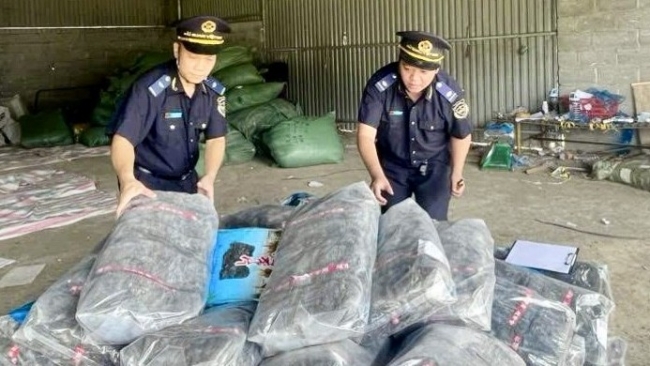 Hải quan khu vực VI phát hiện, xử lý vi phạm với lô hàng độc lập