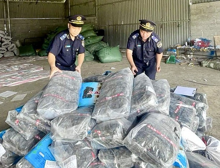 undefined Hải quan khu vực VI phát hiện, xử lý vi phạm với lô hàng độc lập