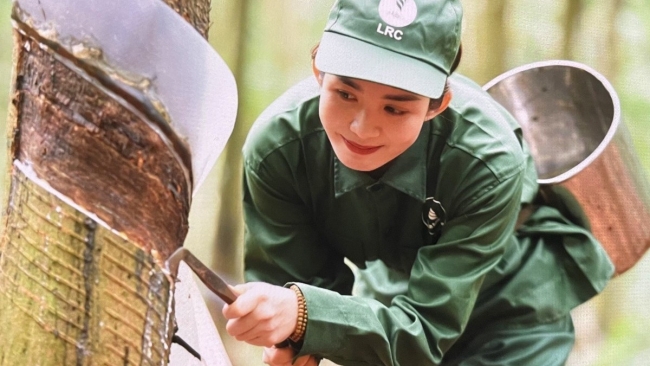 Ngày 9/6: Giá cao su thế giới tuần qua đầy biến động