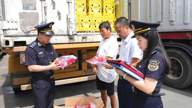 Hải quan nhanh chóng tinh gọn bộ máy, thúc đẩy thông quan hàng hóa