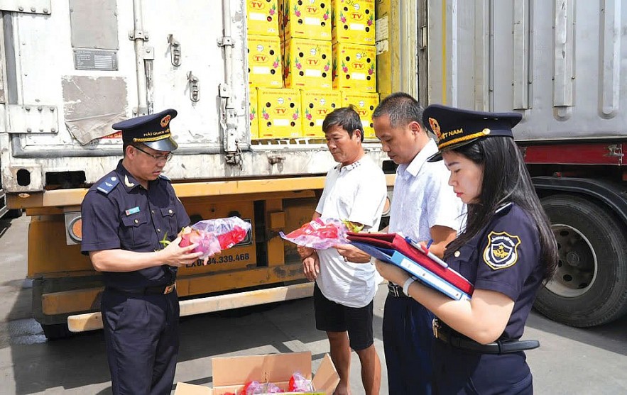 Hải quan nhanh chóng tinh gọn bộ máy, thúc đẩy thông quan hàng hóa