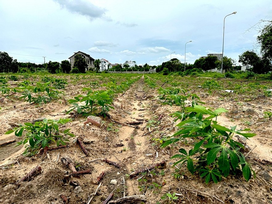 Khu đô thị mới Nhơn Trạch vắng bóng người sau hơn 20 năm quy hoạch