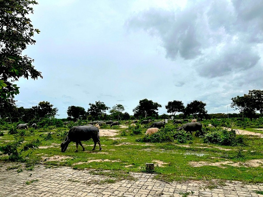 Khu đô thị mới Nhơn Trạch vắng bóng người sau hơn 20 năm quy hoạch