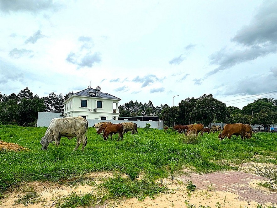 Khu đô thị mới Nhơn Trạch vắng bóng người sau hơn 20 năm quy hoạch