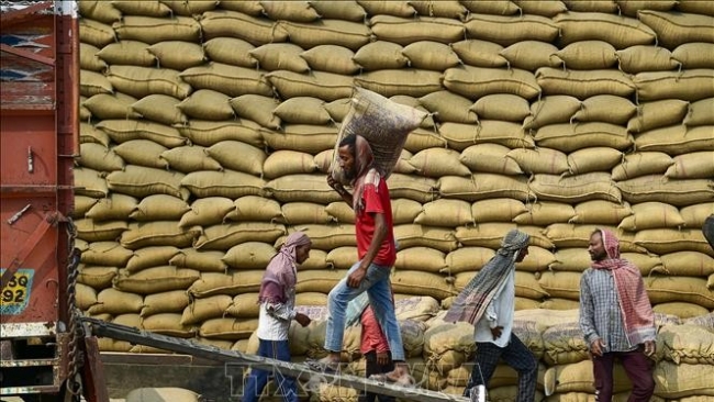 Giá gạo Ấn Độ chạm mức thấp nhất 2 năm