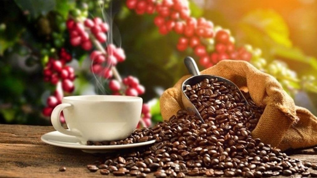 Ngày 15/6: Giá cà phê, hồ tiêu trong nước đồng loạt giảm