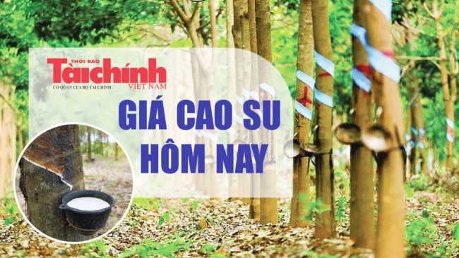 Ngày 16/6: Giá cao su trên các sàn giao dịch chủ chốt giữ nhịp ổn định