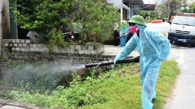 Hà Nội ghi nhận 11 ca mắc sốt xuất huyết, tăng 5 trường hợp so với tuần trước