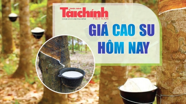Ngày 18/6: Giá cao su trên các sàn giao dịch lớn ở châu Á tăng nhẹ