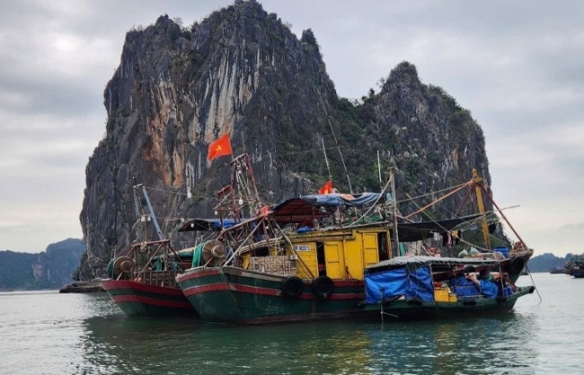 Quảng Ninh đẩy mạnh kiểm tra, chống khai thác thủy sản bất hợp pháp IUU