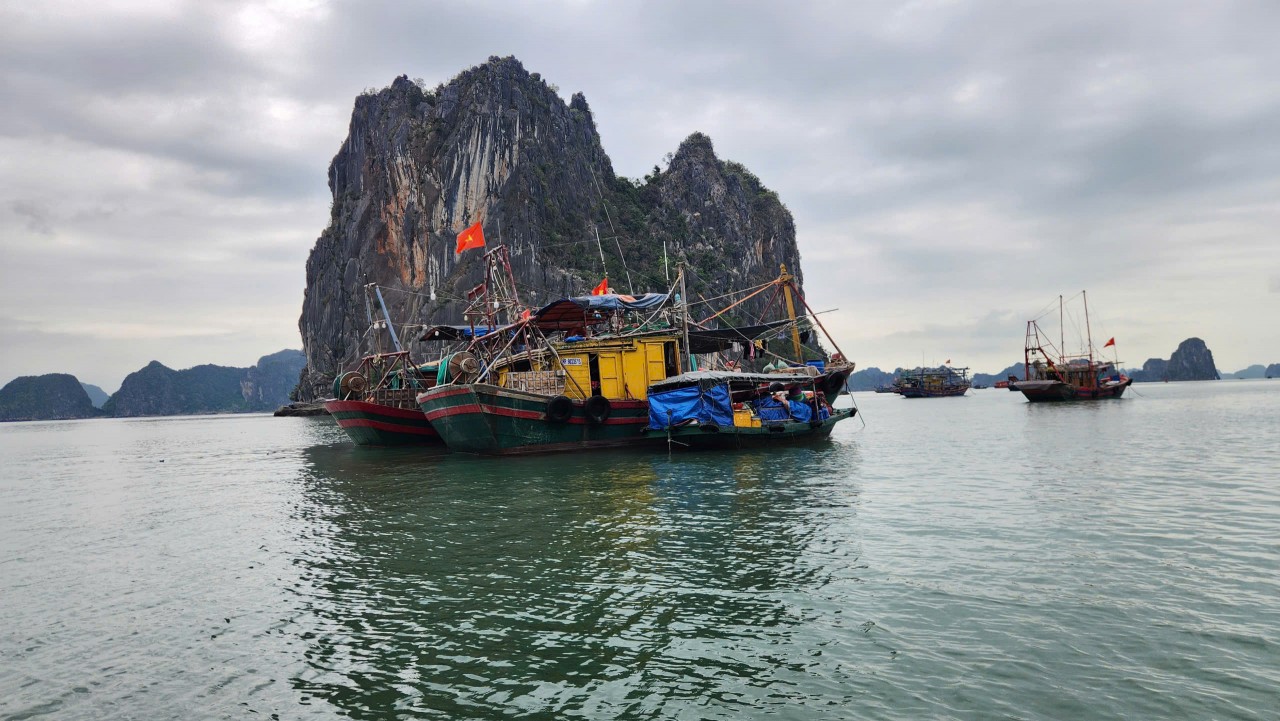 Quảng Ninh đẩy mạnh kiểm tra, chống khai thác thủy sản bất hợp pháp IUU