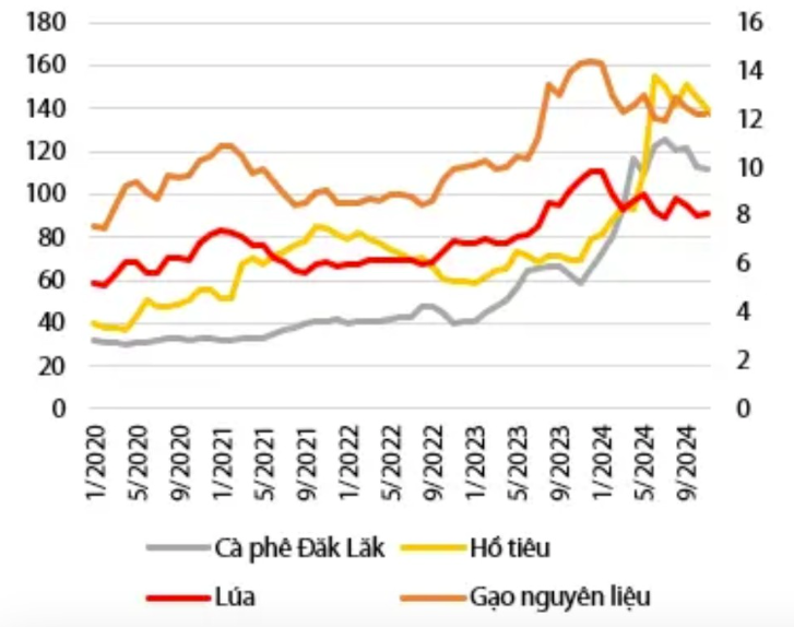 Ngành phân bón bước vào chu kỳ tăng trưởng mới nhờ chính sách thuế và nhu cầu phục hồi