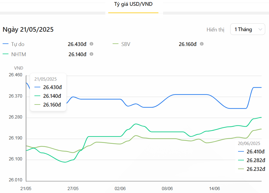 Thị trường tiền tệ tuần 16 - 20/6
