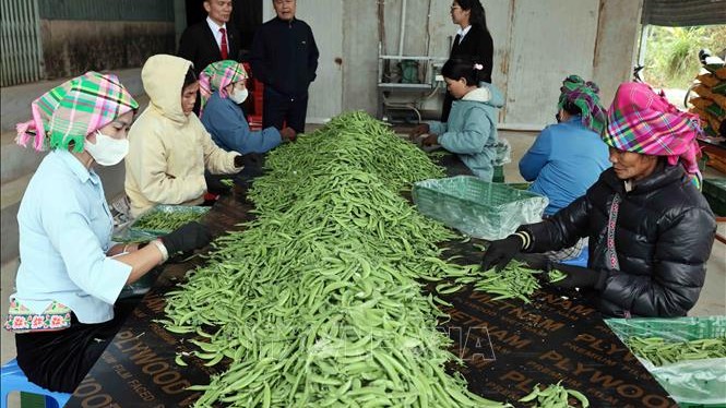 Từ ngày 1/7, nâng mức cho vay đối với cá nhân, hộ kinh doanh không có tài sản đảm bảo